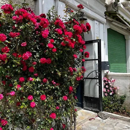 Escapade Dans Grand T2 De Charme Avec Terrasse - Proche Gare Et Centre * Lourdes